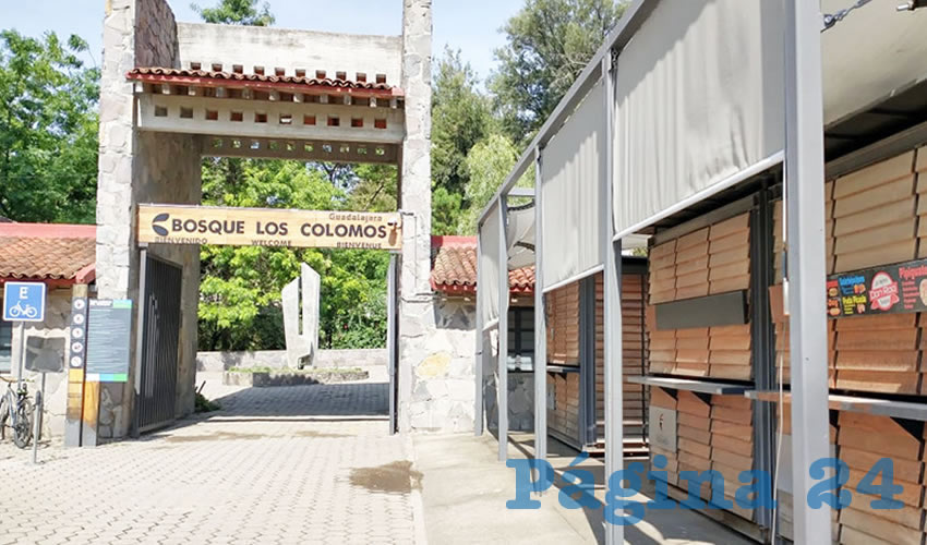 A la entrada del bosque, reabierto parcialmente ayer tras el cierre de espacios públicos decretado por el gobierno estatal, no hay personal que tome la temperatura a los visitantes, por lo que pasa inadvertido cualquier posible caso/Fotos: Francisco Tapia