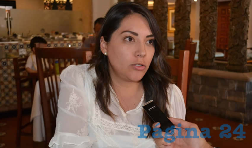 Emma Lisset López Murillo, diputada local (Foto: Archivo Página 24)