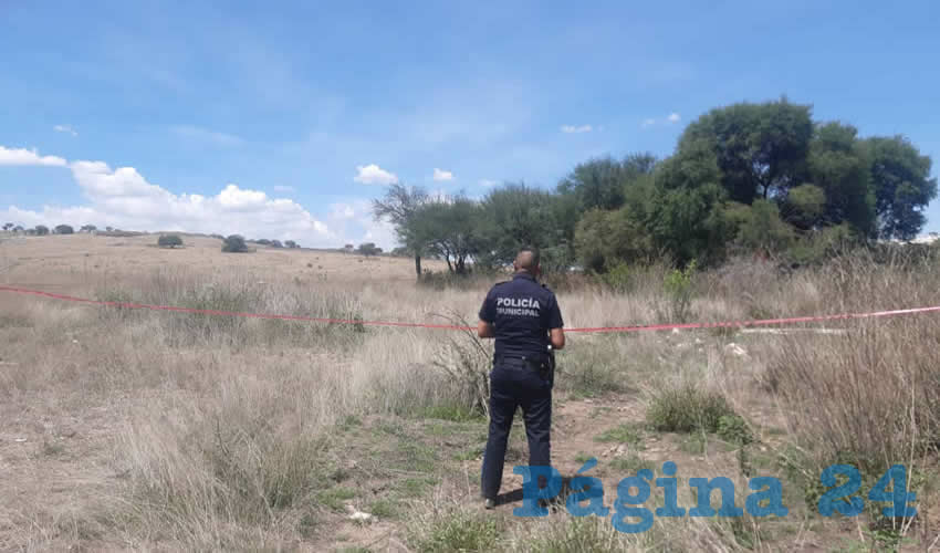 En un terreño aledaño al fraccionamiento Villa Montaña, se ahorcó en un árbol un sujeto hasta el momento desconocido