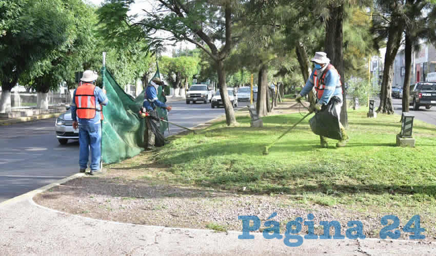 Estas labores son permanentes con el fin de conservar la imagen de la ciudad y mantener en buen estado las &aacute;reas verdes