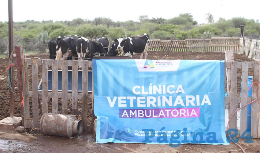 Gracias al convenio de colaboraci&oacute;n que Tere Jim&eacute;nez estableci&oacute; con la UAA, estudiantes de la carrera de M&eacute;dico Veterinario Zootecnista realizan pr&aacute;cticas atendiendo ganado