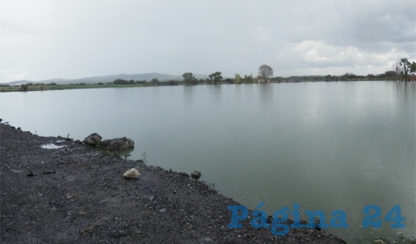 Presa Ahijadero