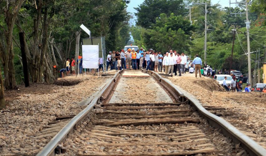 Entre las numerosas fallas detectadas en la MIA, el estudio descartó la promesa del Fondo Nacional de Fomento al Turismo (Fonatur) según la cual el Tren Maya frenará la tala ilegal de árboles en la región, pues “no se da información sobre la tala y el tráfico ilegal de especies” y, contrario a ello, “no hay claridad sobre las medidas de solución al daño socioambiental provocado por la tala que aumentará con la urbanización”, señalaron expertos (Foto: Cuartoscuro)