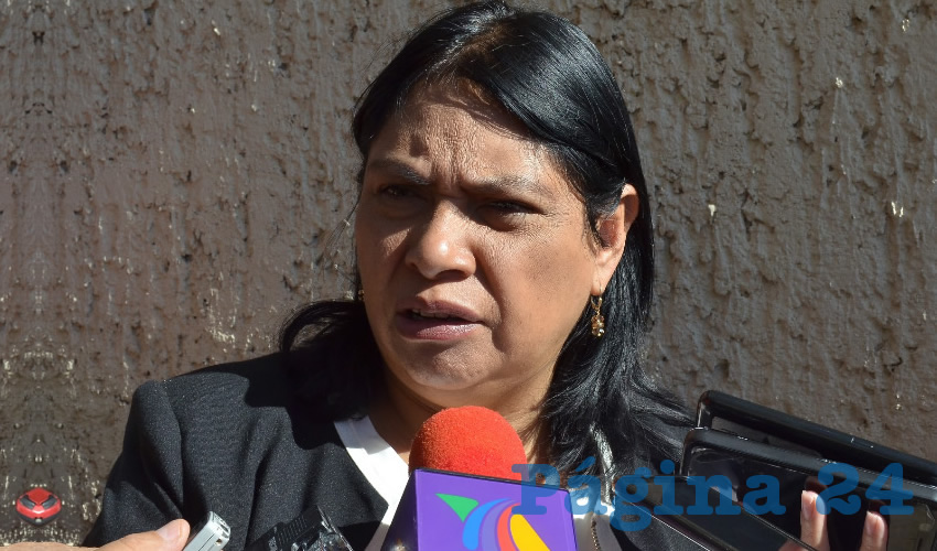 María Guadalupe López Marchant, titular de la Secretaría de Desarrollo Urbano, Vivienda y Ordenamiento Territorial (Seduvot) (Foto: Archivo Página 24)