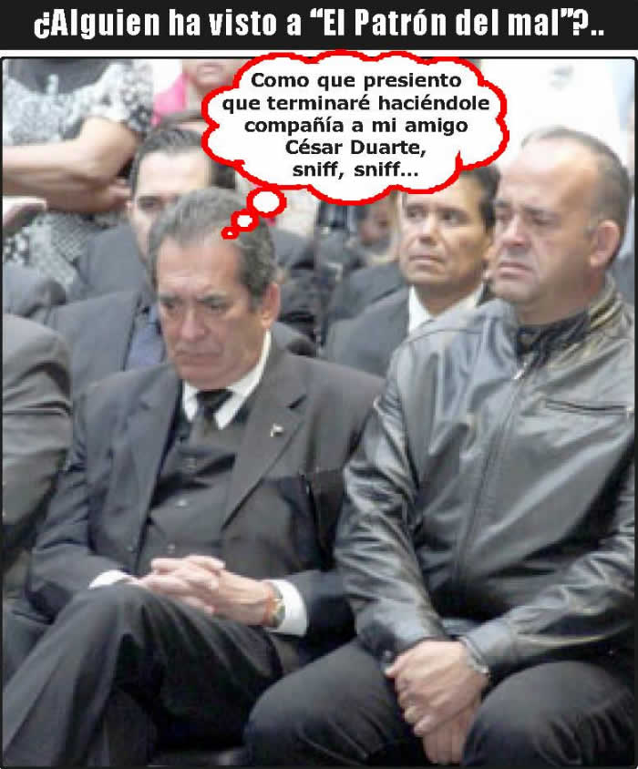 (Fotos: Archivo/P&aacute;gina 24)