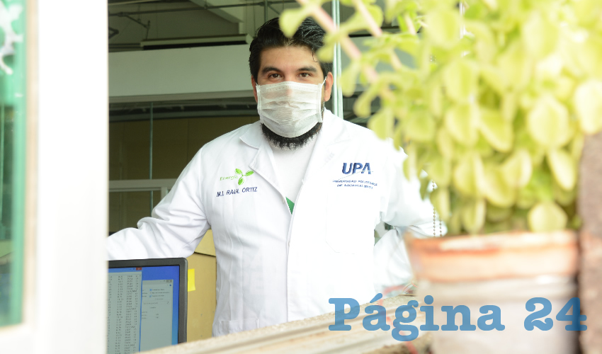 A la celda se le pueden conectar cargas pequeñas como focos led, sensores, entre otros aparatos electrónicos de baja potencia