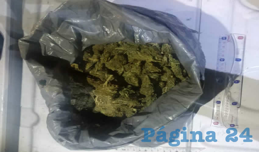 Los 750 gramos de cannabis decomisados a Alfredo &ldquo;N&rdquo; &ldquo;N&rdquo;, de 62 a&ntilde;os 