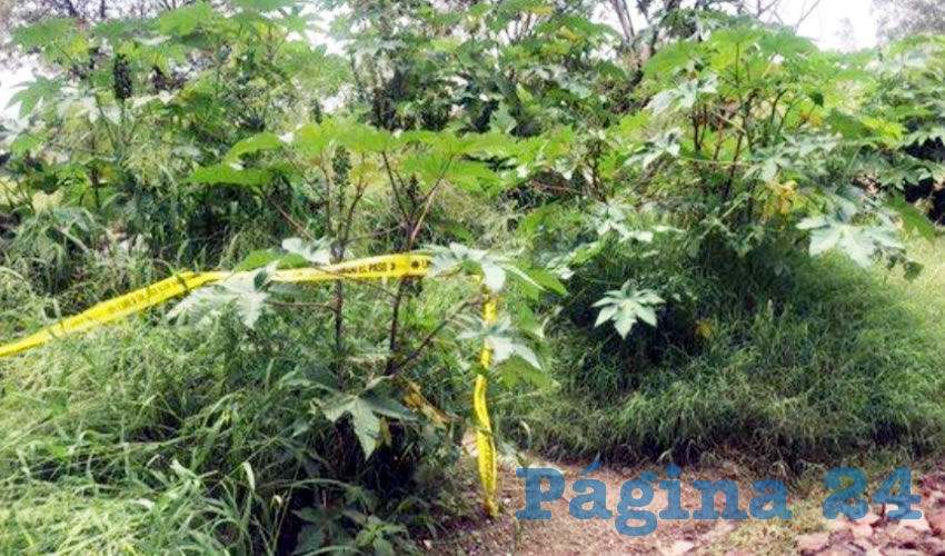 Vecinos de la colonia Nueva España detectaron los olores fétidos que provenían de un terreno baldío, por lo que llamaron de inmediato a las autoridades/Foto: Especial