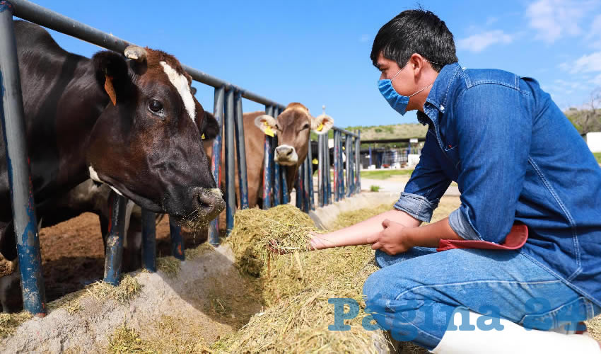 Fue necesario interrumpir temporalmente el trabajo habitual de las cuatro plantas piloto dedicadas a la producción de cereales, lácteos, cárnicos, frutas y hortalizas