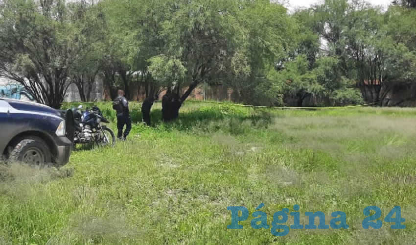 Colgado de un árbol, fue encontrado el cuerpo de un muchacho hasta el momento desconocido