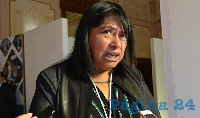 María Guadalupe López Marchant, titular de la Secretaría de Desarrollo Urbano, Vivienda y Ordenamiento Territorial (Seduvot) (Foto Archivo Página 24)