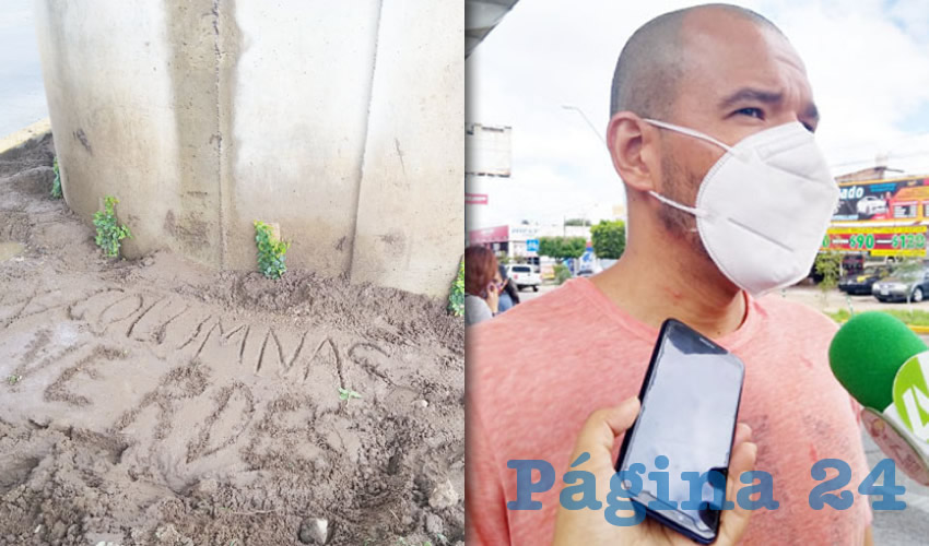 La agrupación “Queremos columnas verdes GDL” habló de la necesidad de poner plantas en estos espacios, ante el impacto que generó la tala de árboles para la construcción del tren/Fotos: Elizabeth Ríos Chavarría