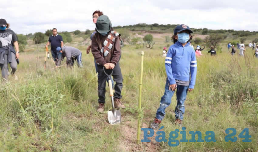 El Ayuntamiento a trav&eacute;s de la Secretar&iacute;a de Medio Ambiente y Desarrollo Sustentable llev&oacute; a cabo la plantaci&oacute;n de 230 mezquites nativos