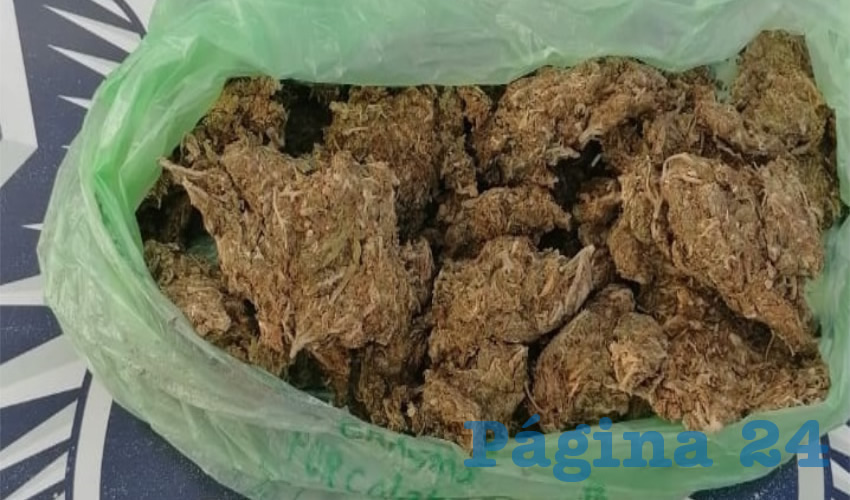 Los 600 gramos de cannabis que portaba el envenenador