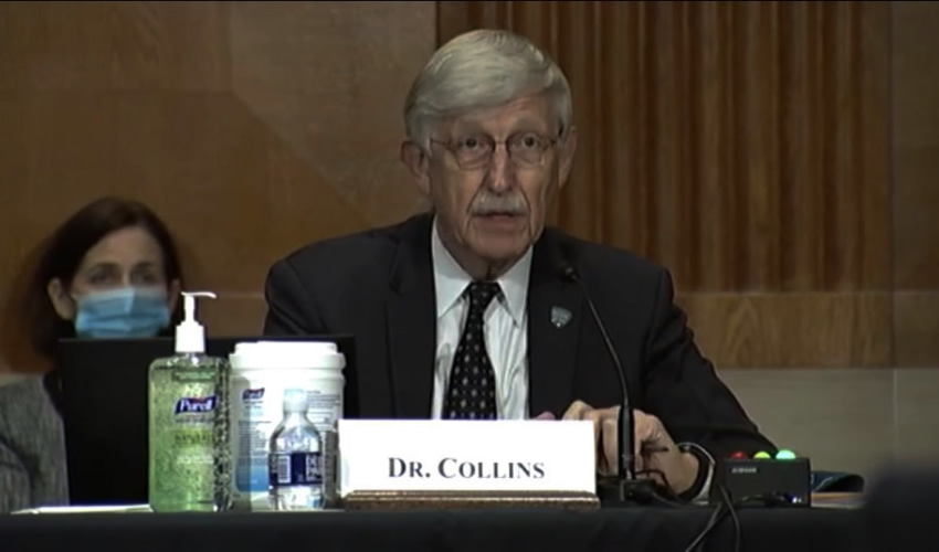 Francis S. Collins, director de los Institutos Nacionales de Salud de Estados Unidos, durante la audiencia con senadores (Foto: Cortesía/YouTube: U.S. Senator Mitt Romney)