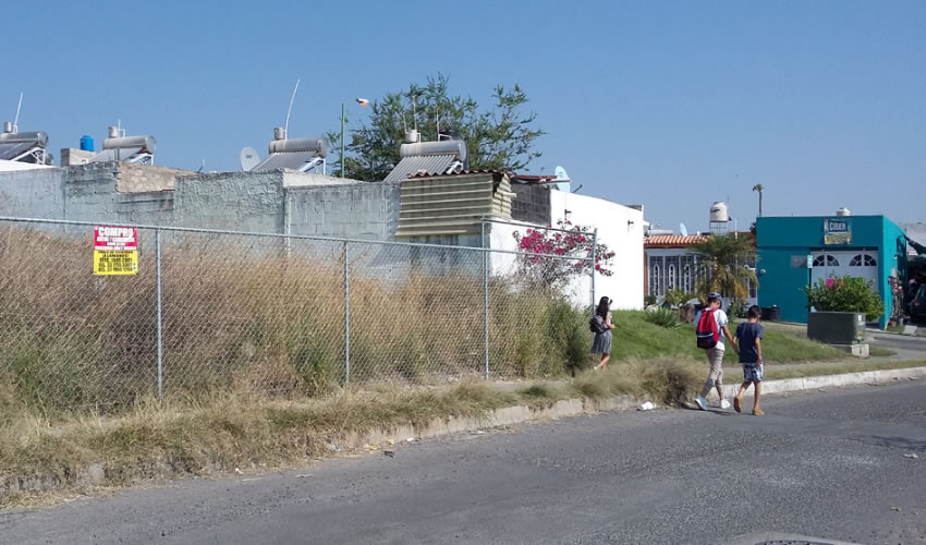 De acuerdo con habitantes de esta parte de Tonalá, muchas personas vienen hasta aquí a dejar a las mascotas que ya no quieren; otras más los mantienen en sus domicilios, pero en condiciones infrahumanas/Foto: Archivo Página 24