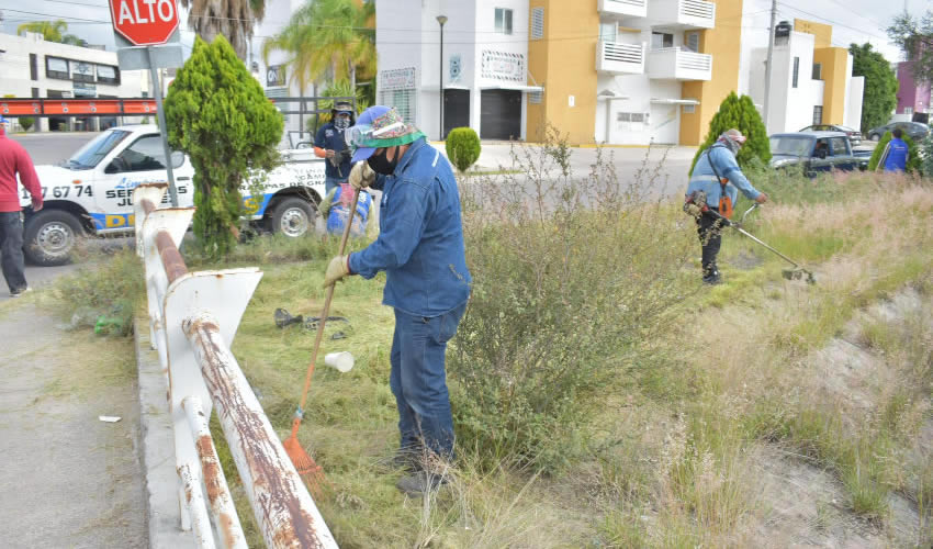 M&aacute;s de 100 toneladas de residuos, basura, maleza, ramas, escombro, llantas y muebles, se recolectaron del arroyo La Hacienda