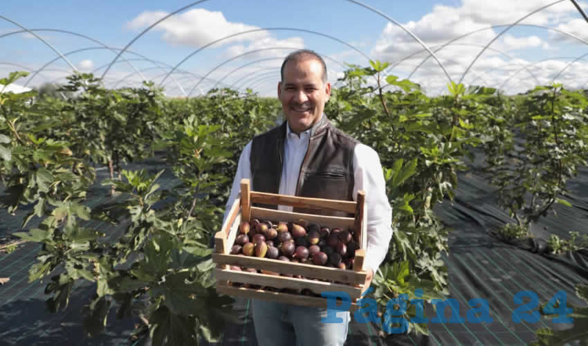 El gobernador aseguró que el campo es lo que mueve la economía de Aguascalientes, es así que lo que resta de su administración continuarán los apoyos para que este sector siga fortaleciéndose