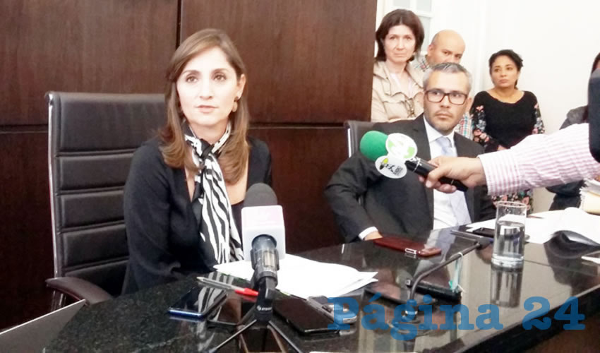 “Se hace una recomendación a todas las autoridades públicas del estado a renovar sus esfuerzos para atender este importante tema de derechos humanos”, manifestó Cynthia Cantero, presidente del Itei/Foto: Archivo Página 24