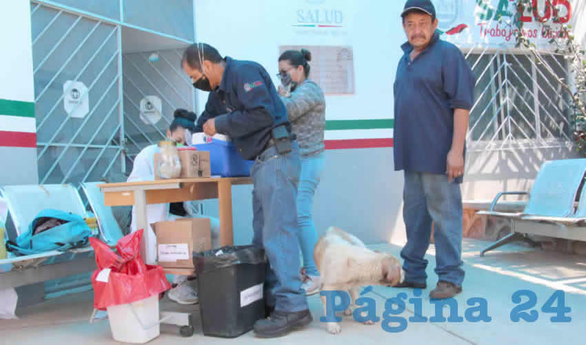 De manera gratuita, la ciudadanía podrá inocular contra la hidrofobia a sus perros y gatos (Foto: Rocío Castro Alvarado)