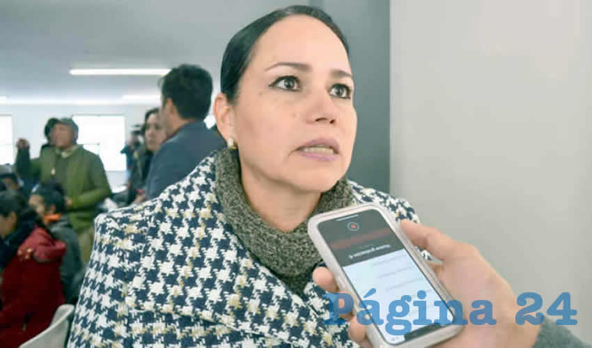 Mirna Maldonado Tapia, diputada federal por Movimiento Regeneración Nacional (Morena) (Foto: Archivo Página 24)