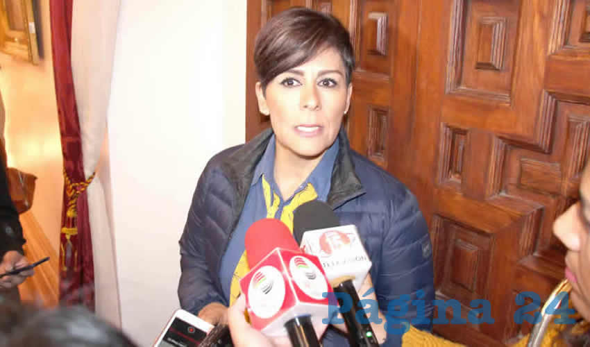 Susan Cabral Bujdud, presidenta de la Asociación Mexicana de Ayuda a Niños con Cáncer (AMANC) en Zacatecas (Foto: Archivo Página 24)