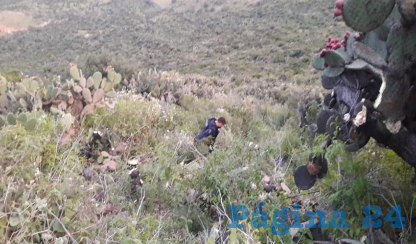 Un auto Nissan Sentra gris salió de la carretera estatal 38, en San José de Gracia y fue a dar hasta un barranco, huyendo el o los tripulantes antes de la llegada de las autoridades