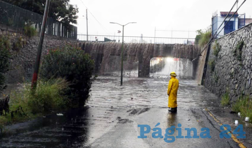 Árboles caídos y túneles inundados, fueron los principales estragos que dejó la fuerte lluvia que azotó el domingo 27 a Guadalajara y Zapopan/Foto: Especial