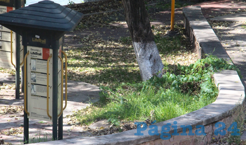 Desde el exterior y a siete meses de que no se permite el ingreso, se observan los estragos que ha causado la falta de mantenimiento en el tradicional Parque La Encantada (Foto: Rocío Castro Alvarado)