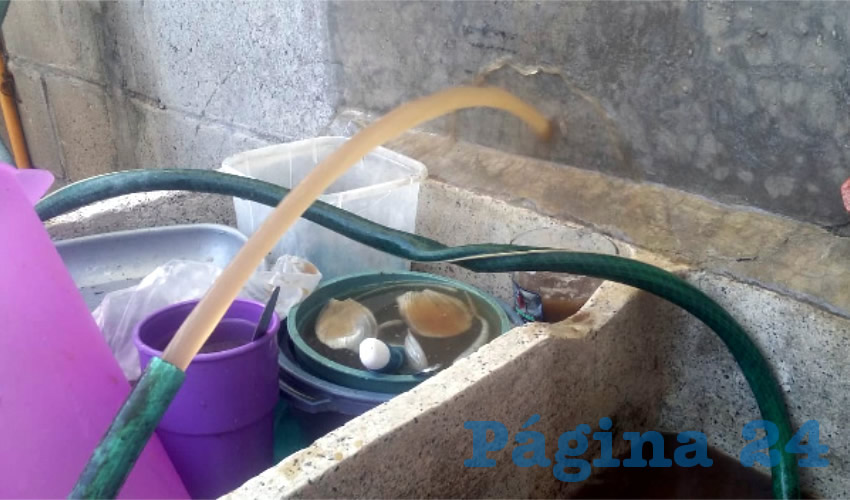 Por si no fuera un asco nomás de verla, en ocasiones el agua tiene un olor nauseabundo, por lo que ya ni para las plantas la usan, no sea que se muera el pasto. Temen incluso que de entrar en contacto con el turbio líquido puedan enfermarse/Fotos: Francisco Tapia