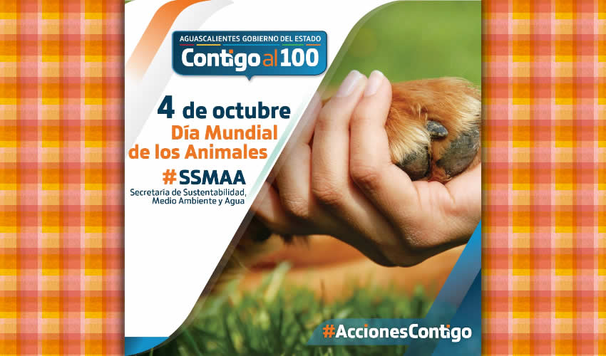 El prop&oacute;sito central de esta fecha es recordar la importancia de las especies animales con quienes compartimos el planeta