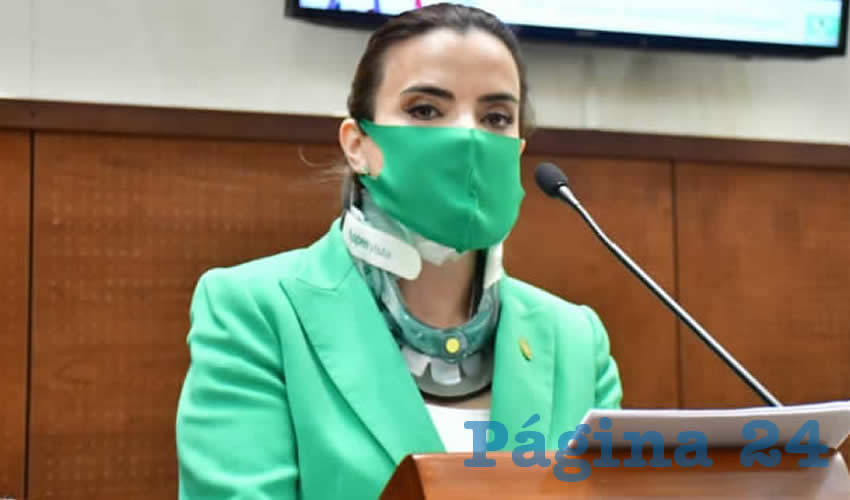 Susana Rodríguez Márquez, diputada local por el Partido Verde Ecologista de México (PVEM)