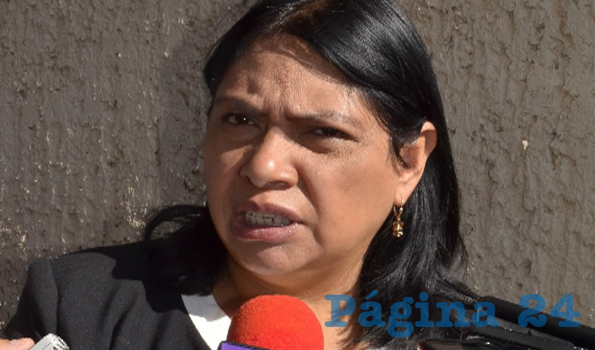 María Guadalupe López Marchant, titular de la Secretaría de Desarrollo Urbano, Vivienda y Ordenamiento Territorial (Seduvot) (Foto: Archivo Página 24)