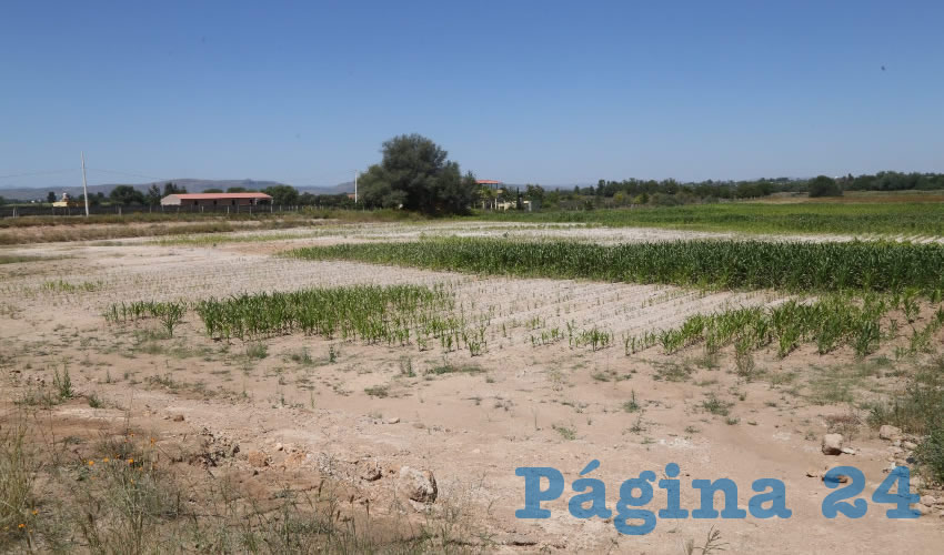 Ejidatarios denuncias que sus tierras no tienen agua