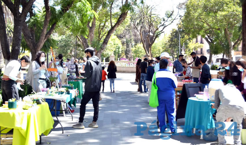 Como distintivo usan mantas verdes en las mesas para darle unidad al bazar y continuar con el proyecto que busca abrir un espacio para que tanto artesanos como comerciantes y emprendedores puedan exponer sus creaciones y productos (Foto: Merari Martínez)