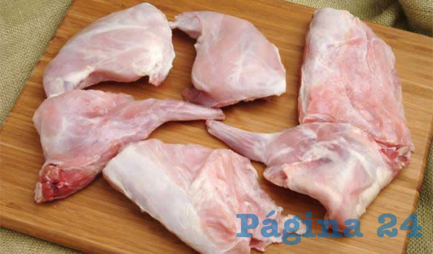 Promover&aacute;n consumo de carne de conejo 