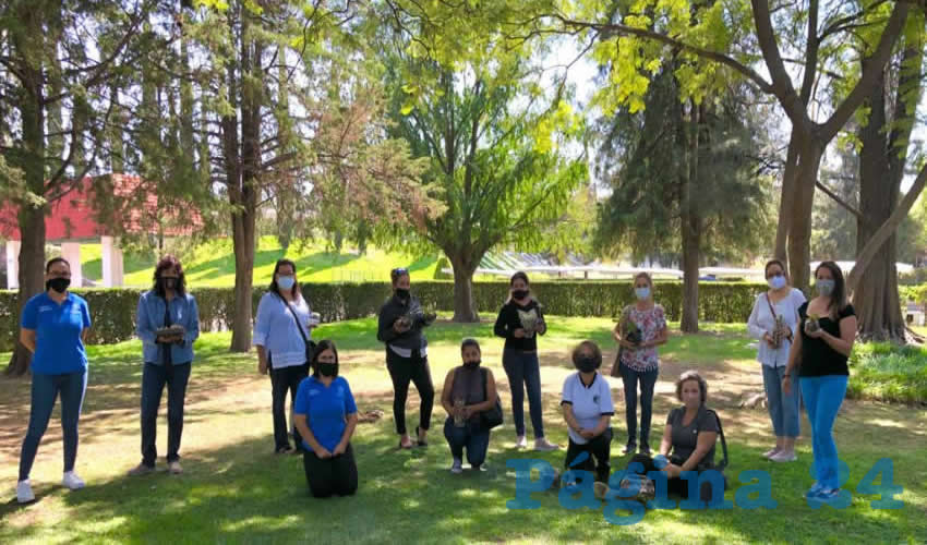 Los participantes aprendieron la forma correcta de cuidar, sembrar, as&iacute; como t&eacute;cnicas para decorar con estas plantas, elaborando un terrario como pr&aacute;ctica