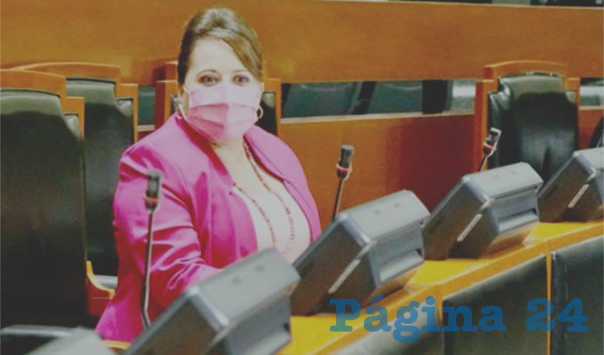 A decir de la emecista María Esther López, presidenta de la Comisión de Responsabilidades en el Congreso, la solicitud de juicio político que se interpuso en contra de Armando García Estrada fue por la construcción de un edificio de departamentos, pues existen dos sentencias que se contraponen al respecto/Fotos: Francisco Tapia y Archivo Página 24