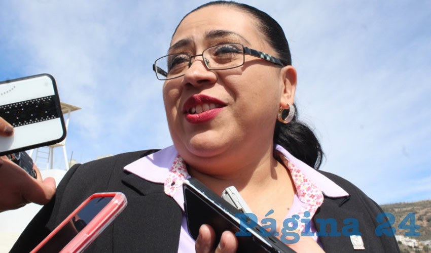 Sandra Durán Vázquez, delegada estatal del Instituto Mexicano del Seguro Social (IMSS) (Foto: Archivo Página 24)