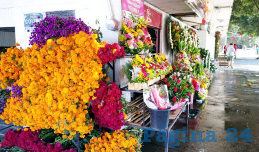 Vestidas y alborotadas se quedaron miles de flores de diversos colores, tamaños y formas: debido a la activación de emergencia en pleno Día de Muertos, el negocio de la venta de flores cayó a más de 70%/Foto: Francisco Tapia