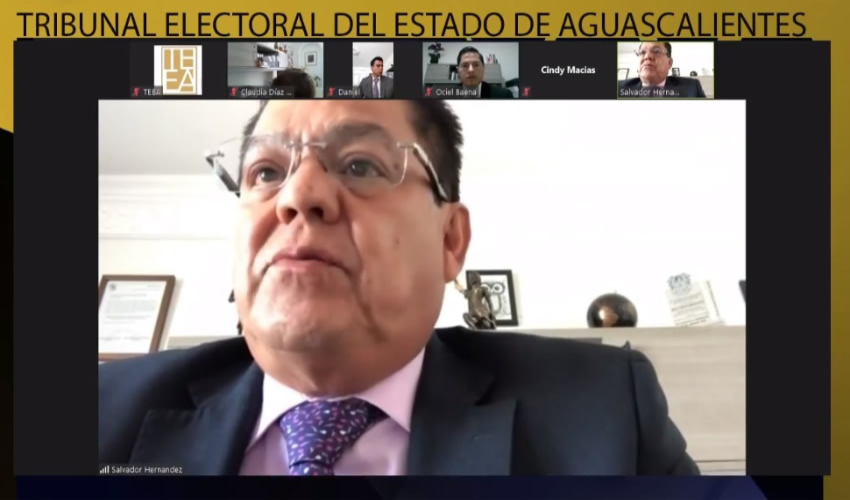 H&eacute;ctor Salvador Hern&aacute;ndez Gallegos, magistrado del Tribunal Electoral del Estado de Aguascalientes 