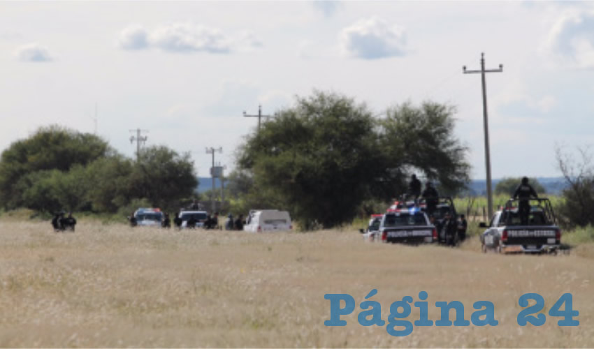 La zona del hallazgo