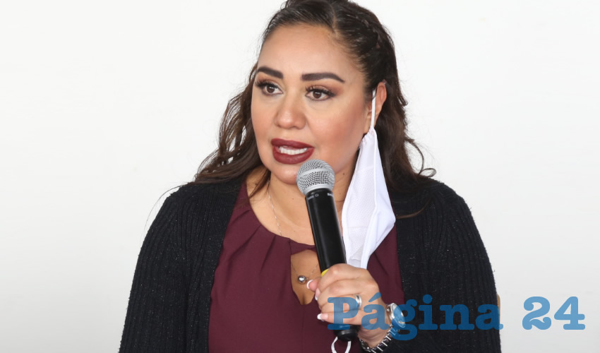 Sylvia Garfias Cedillo, diputada federal 