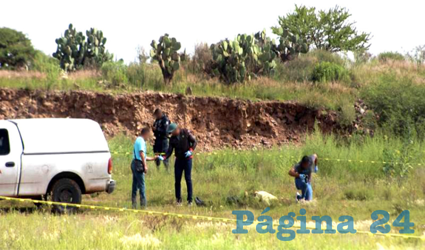 Servicios Periciales