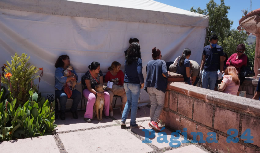 Miembros de la asociación Dog Love, que se dedica al rescate de mascotas en situación de calle, denunciaron públicamente la desaparición de los perros que recoge el Centro de Control Canino del ayuntamiento de Guadalupe (Foto: Archivo Página 24)