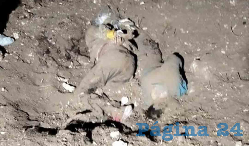 El hallazgo de los restos humanos se realizó dentro del rancho San Bernardo/Foto: Especial