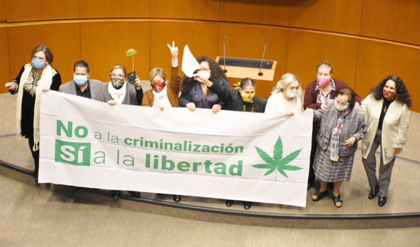 De ser aprobado en la Cámara de Diputados quedaría despenalizada la posesión de hasta 28 gramos en el país, pero quien porte entre 28 y 200 gramos ameritaría sanciones administrativas o multas, al considerarse posesión simple. Quien tenga más de 200 gramos y hasta 28 kilos se considera posesión con fines de narcomenudeo, y de 28 kilos en adelante narcotráfico (Foto: Cuartoscuro)