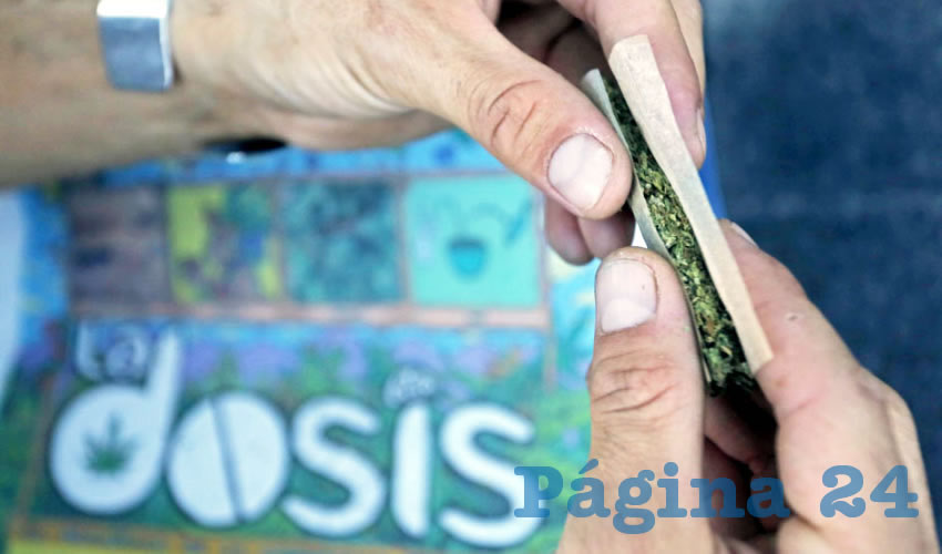 En plena calle y con el permiso del ayuntamiento de Guadalajara, desde jóvenes hasta personas de la tercera edad fumaron hierba. Separaron la mariguana, la limpiaron para quitarle los “cocos” y ramas, forjaron cigarrillos