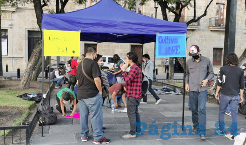 En el marco de la discusión en el Senado sobre la regulación del uso de la mariguana, consumidores de la hierba se congregaron en el centro tapatío para exigir que los cambios en la ley sean integrales y contemplen la no discriminación, el consumo recreativo, así como el cultivo personal/Foto: Francisco Tapia