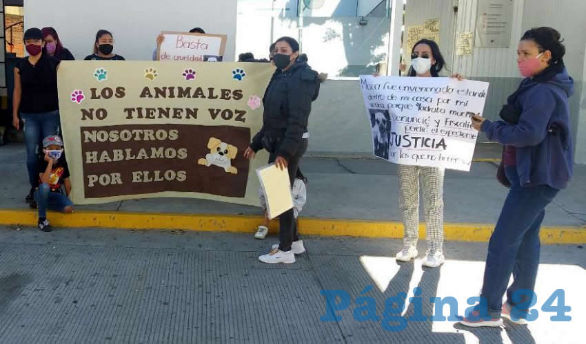 Hace un año que la perrita “Maca” murió tras ingerir pastillas envenenadas: “Un agente del ministerio público nos acompañó a la casa, recolectó pruebas”, explicó la dueña de la mascota. Sin embargo, cuando fue a preguntar cómo iba la investigación le dijeron que se había perdido la carpeta: “Sabemos que es un animal, pero imagínese si hubiera sido un niño el que agarrara las pastillas y se las hubiera comido”, lamentó/Fotos: Francisco Tapia